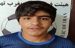 ایلیا علوی