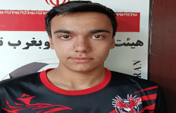 امیرحسین حقیقت کیا