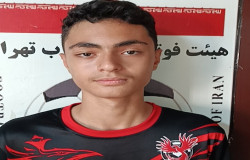 ارین اسماعیل لو