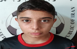 نیکان ازلگینی