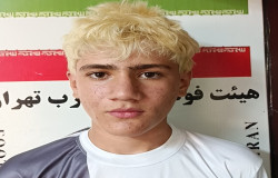 محمدمتین نورانی
