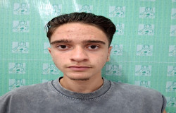 محمد‍‍ پویان سهراب لی