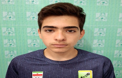 عرفان سلیمی