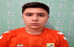 محمد مهدی بخشی
