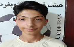 پارسا افشارنیا