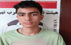حامی شریفی