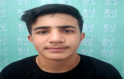 محمد جواد شایگانی امیر