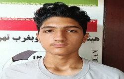 سید ایلیا میری