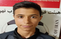 پرهام اسمعیلی ورنکش