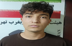 مانی ستاری