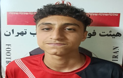آراد دولتشاهی