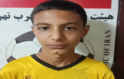 آرشام خلفی