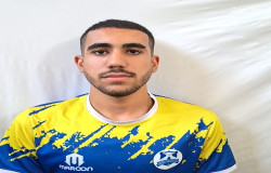 محمد رضا بیسادی
