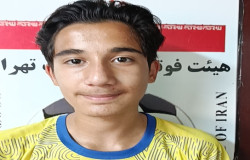 پویا ندیری