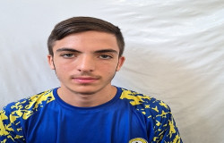 محمد اعلایی