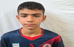 محمدامین بهمن زاده