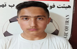 محمدمهدی افضلی