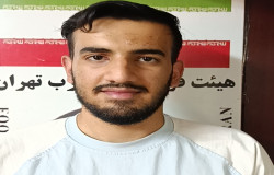 محمدحسین محمدی
