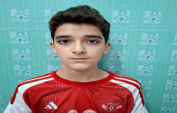 پارسا ابوالحسني نژاد