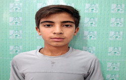مانی مجنونی