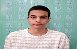 سیدپرهام صفویه