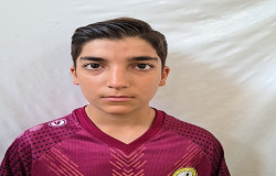 سورنا کشتکار جولادی