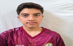 ایلیا صالحی