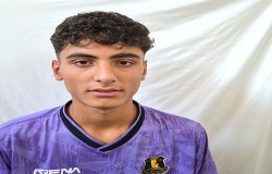 محمد مهدی دلاوری