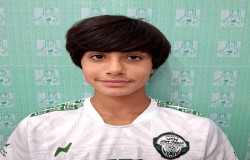 محمد پرهام بختیاری قلعه