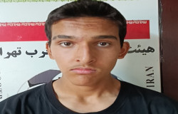 محمدحسین نایبی