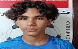 امیر عباس افشاری