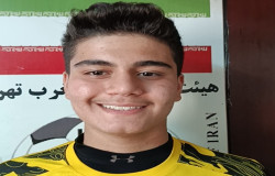 محمدطاها گلشاهی