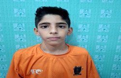 محمد زلفی