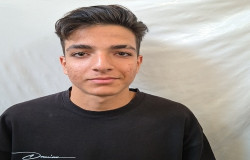نیما ململی