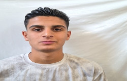 علی رضا استیری