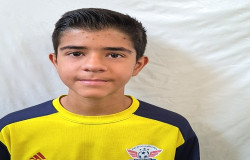 محمد علی شهبازی