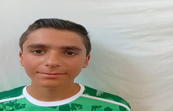 محمدرضا فروغی