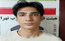 محمدامین بینایی