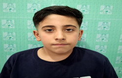 علی همدم نژاد