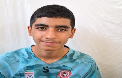 محمد مهدی پهلوان