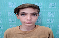 امیرمهدی جلالوند