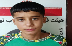 محمد رضا مددی باغچه حق