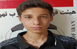 حسام ولی زاده
