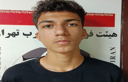 محمدرضا کیانی