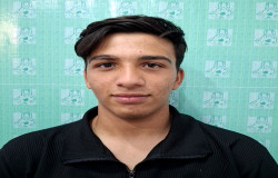 محمدطاها پاپی