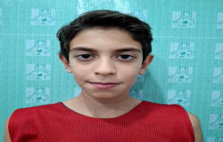 آرتا دیلمی معزی