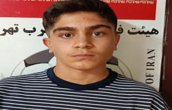 علیرضا علی پور هروانی