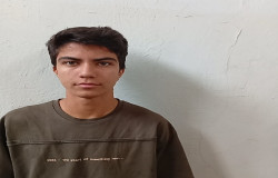 آرمین زرنوشه فراهانی