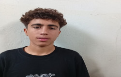 آرمین چهاردولی