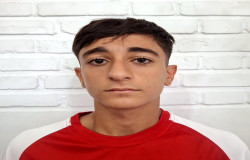 پرهام چهاردولی